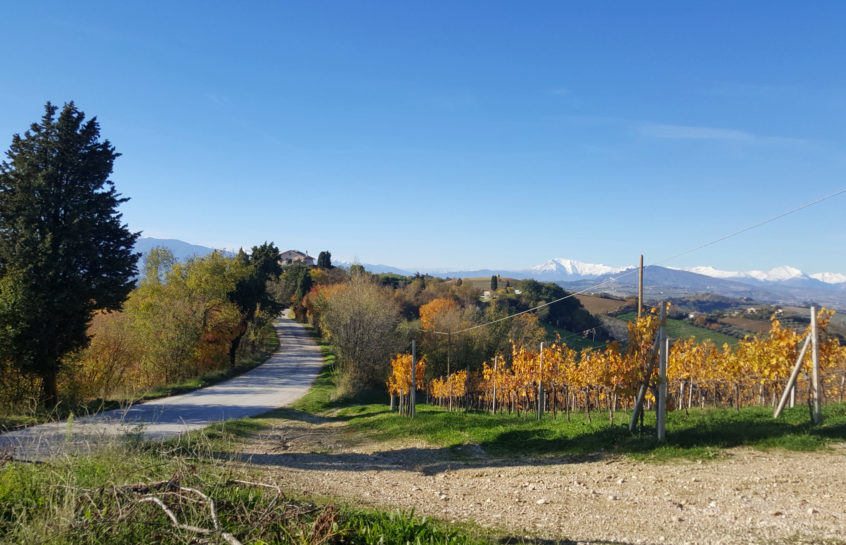 Le colline e il paesaggio rurale delle Marche